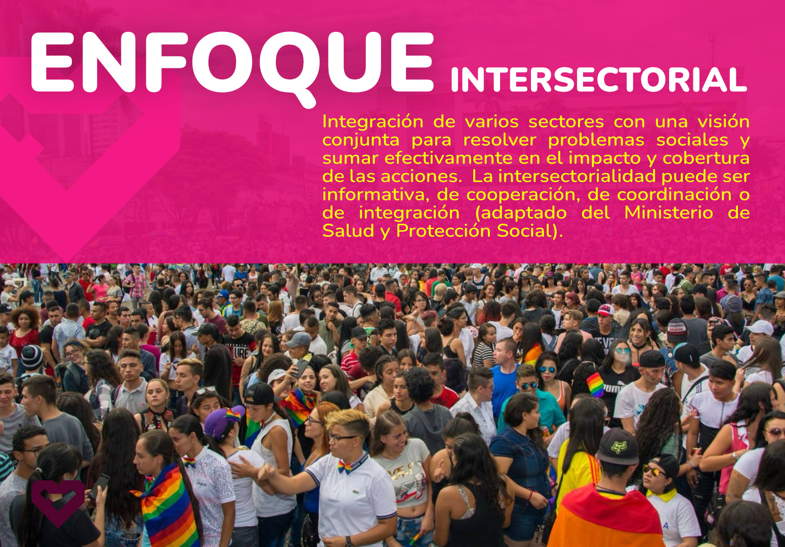 Enfoque Intersectorial